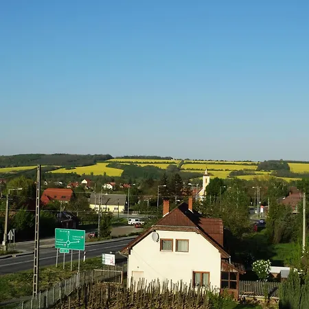 Roganoff Zalacsány